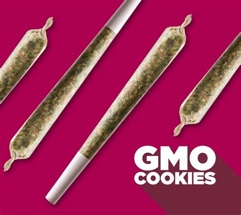 Gmo Cookies Spinach Cannabis