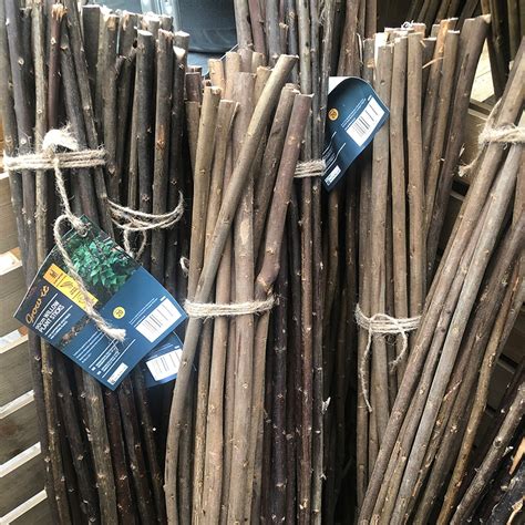 Willow Plant Sticks 90cm 20pk Knights Garden Centres