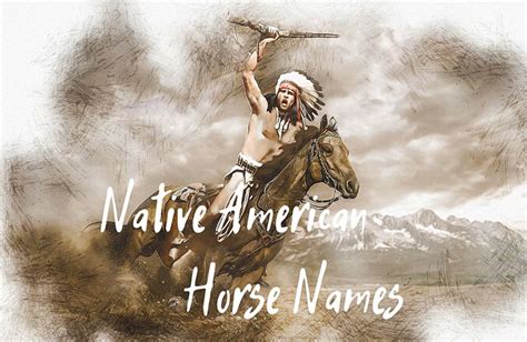 200 Native American Horse Names For a Serene Equine