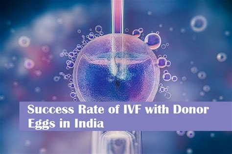 IVF With Donor Eggs In India Success Rates And Insights