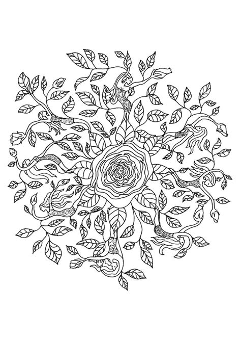 Coloriage Mandala Rose Sur Hugolescargot