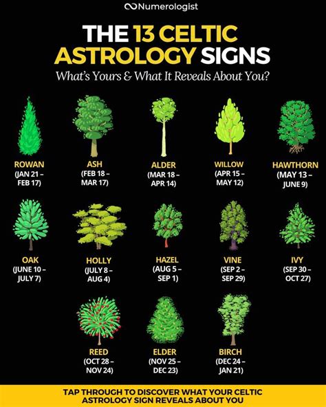 Why Your Celtic Astrology Sign Will Reveal A Completely New Side To Your Personality Celtic