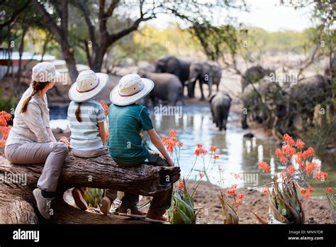 Family of mother and kids on African safari vacation enjoying wildlife ...