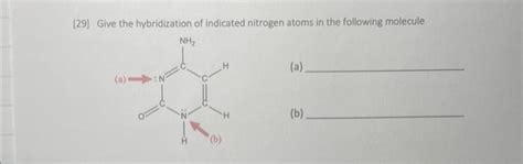 Solved [29] Give the hybridization of indicated nitrogen | Chegg.com