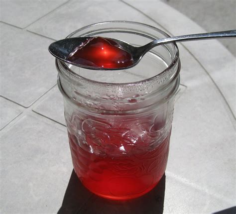 Pectin From Scratch : 5 Steps (with Pictures) - Instructables