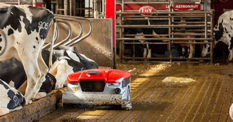 Barn Cleaner Barn Hygiene Slatted Floors Discovery Lely