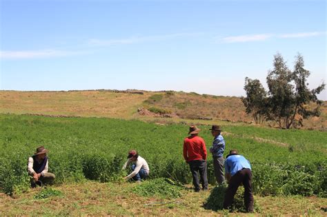 Gobierno Atender A Mil Peque Os Y Medianos Productores Gracias A