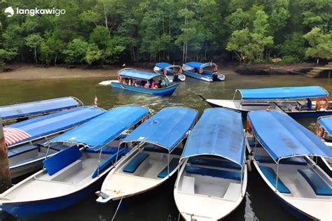 Langkawi Mangrove Tour Book Now And Pay Later Guided Tour