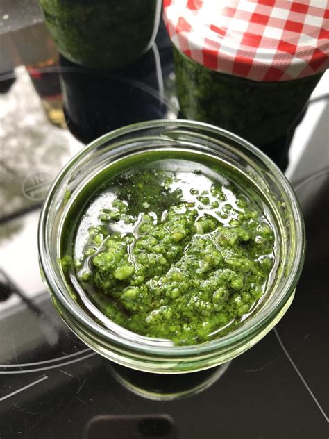 Mein B Rlauch Pesto Rezept Mit Bild Kochbar De