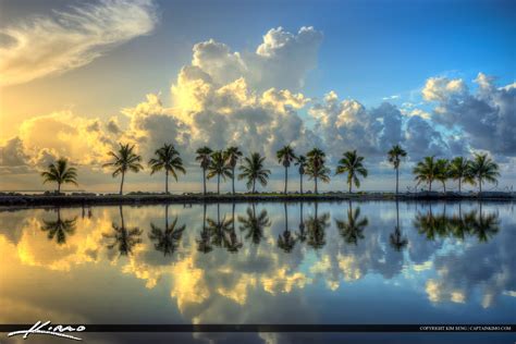 Matheson Hammock Park Coconut Tree Row Sunrise Reflection Hdr