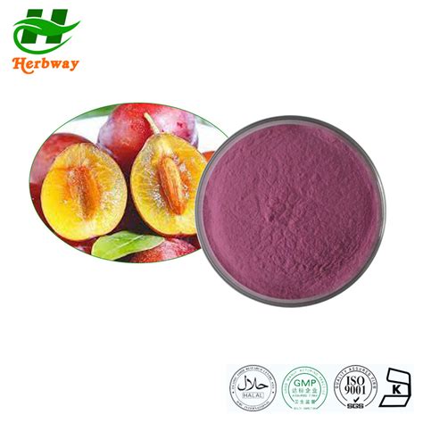 Herbway Kosher Halal Fssc HACCP Certified Pure Prune Fruit Extract