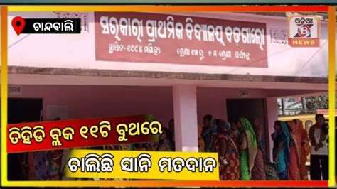 Odia B News Sani Voting Is Taking Place In 11 Booths In Tihidi Block