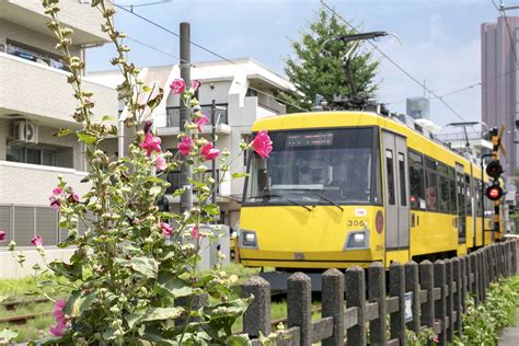 【私の街の路面電車】のどかな都内の沿線風情を楽しむ 世田谷線（1）｜東京都｜たびよみ