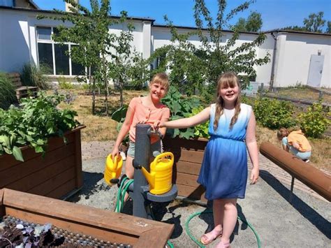 Frische Kräuter und knackiger Salat aus dem Schulgarten Heinrich