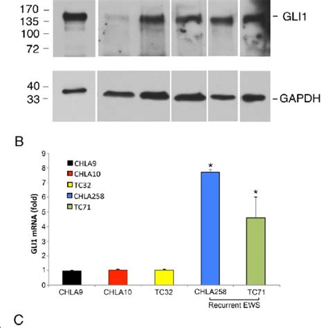 IC 50 Of RMS And EWS Cell Lines Before And After Exposure To