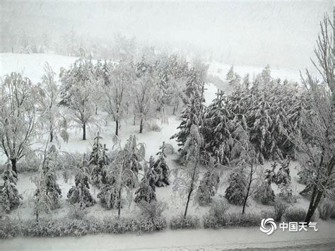 白雪皑皑 内蒙古锡林郭勒盟多伦县出现降雪 图片频道