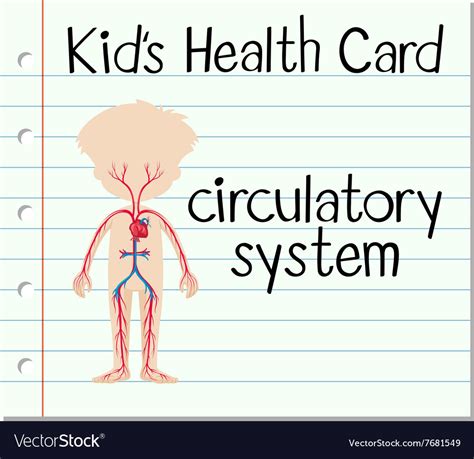 Kid health card with circulatory system Royalty Free Vector