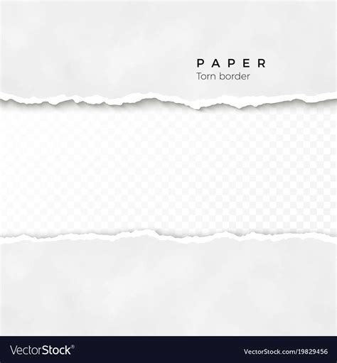 Horizontal torn paper edge texture rough Vector Image