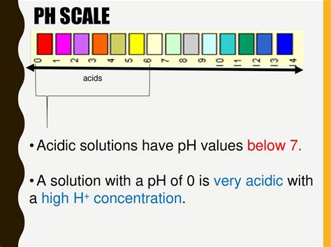 Acids Bases And The Ph Scale Ppt Download