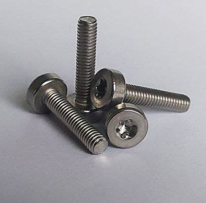 Iso Gb Ss Hexagon Socket Bolt Torx Cheese Head Screws