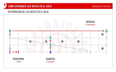 Cómo aprender las Notas en el Bajo Método Ejercicios