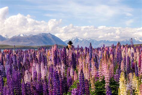 Press Writing New Zealand Landscape Photographer Rach Stewart