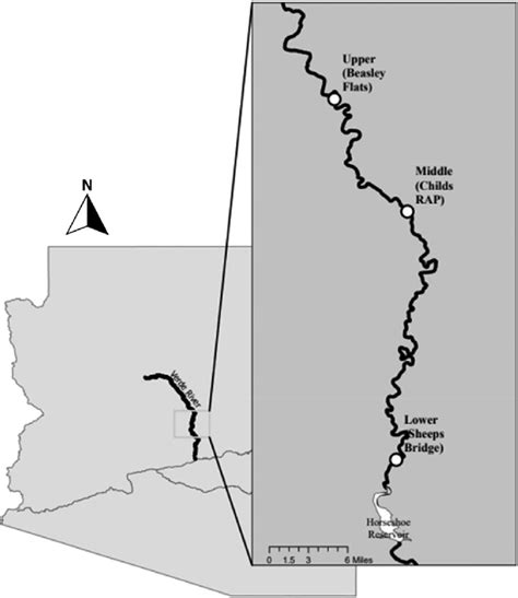 Map of the Verde River. The three sampling reaches -upper (Beasley ...