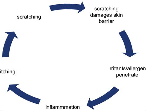 Itch-scratch-itch cycle. | Download Scientific Diagram