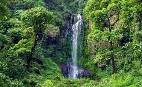 Pesona Curug Lawe Benowo Air Terjun Di Ungaran Yang Indah Dan Ramah