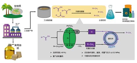 大连化物所实现温和条件下生物质脂肪酸到长链烷烃的高效转化 中国科学院