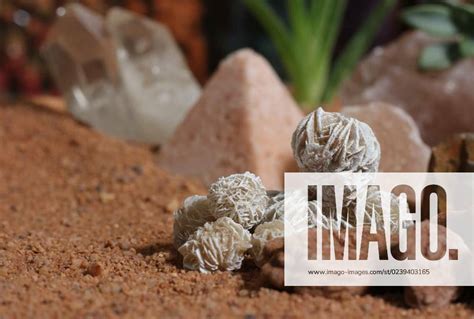 Desert Rose Rocks With Quartz Crystals On Australian Red Sand Desert