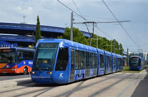 Retour à l'album Montpellier – TAM