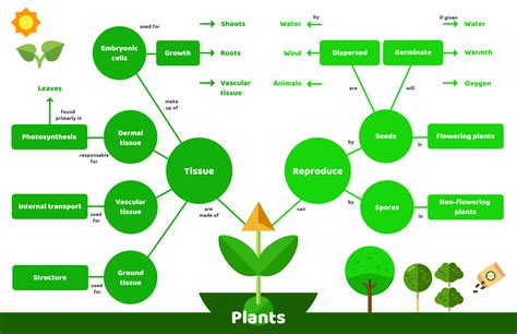 5th Grade Science Concept Map Of Plant Reproduction Map