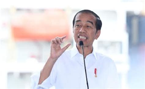 Jokowi Ungkap Banyak Negara Rem Ekspor Beras Akibat Perubahan Iklim