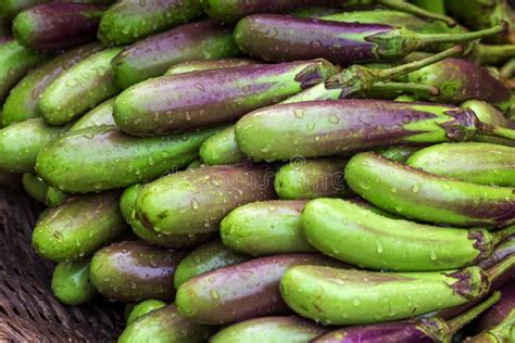 Green Purple Eggplant Vegetables At The Market Close Up Views Of Farm