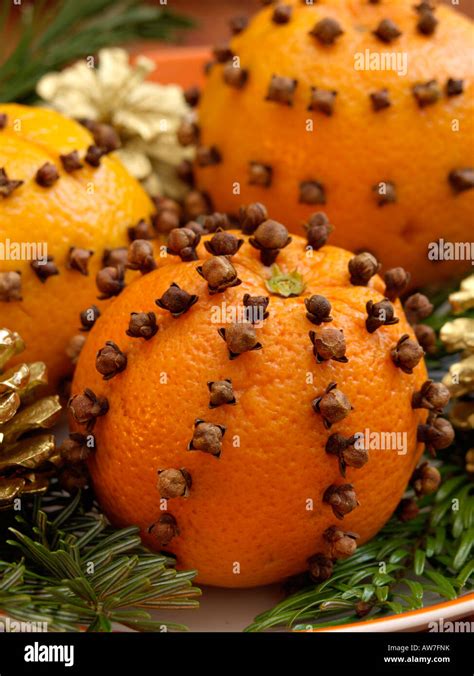 Citrus Sinensis Hi Res Stock Photography And Images Alamy