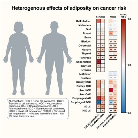 Cancer Has An Obesity Related Risk Factor And It Depends On Sex And