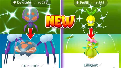 CATCHING ALL OF THE NEW GO FEST SHINY POKEMON Shiny Petilil Dewpider