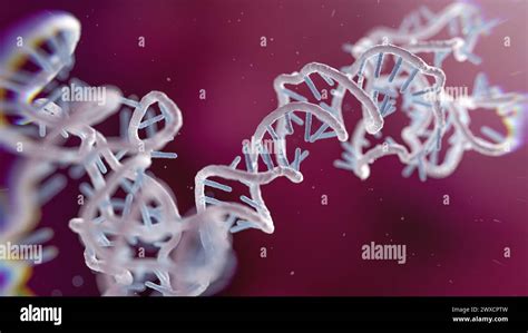 Illustration Of An Rna Ribonucleic Acid Obelisk Rna Obelisks Are