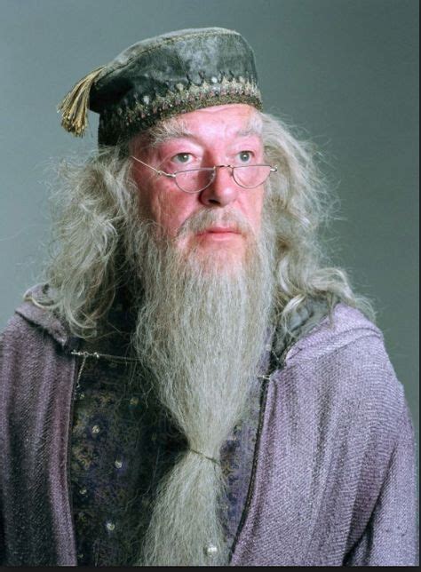 Albus Dumbledore With Images Harry Potter Creatures Harry Potter