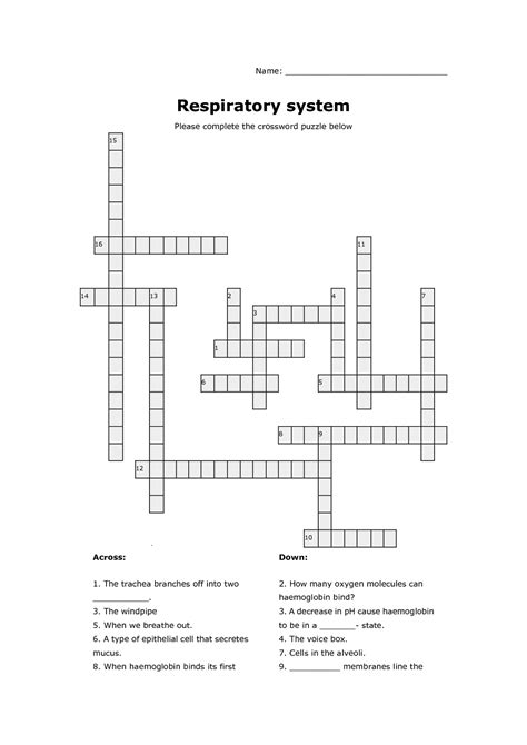 Respiratory System Crossword Puzzle Activity Shelter