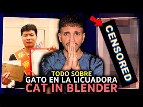 Descubre El Video Del Gato En La Licuadora El Video Original Que Se