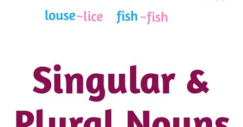 Apa Sih Bedanya Singular Dan Plural Nouns Dalam Bahasa Inggris Basic