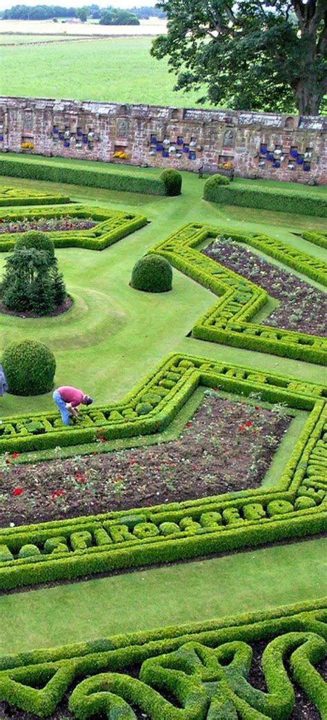 an elaborate garden is shown in the shape of a maze with people working ...