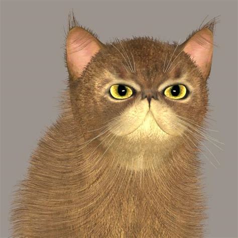 Persian Face Head Morph For Millenium Cat Milcat Poser