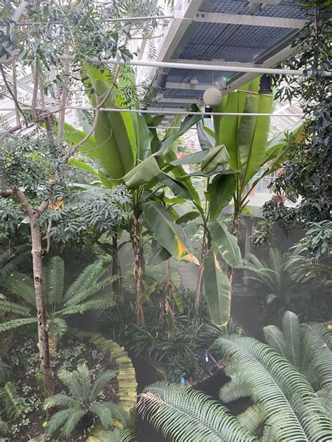 Belfast Botanical Gardens Rauthentictravel