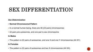 Sex Differentiation And Development PPTX