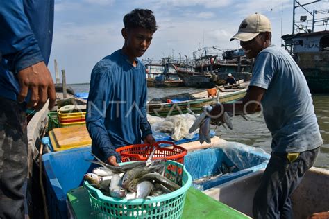 Target Produksi Perikanan Tahun Antara Foto