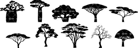 African Tree Silhouette Vector at Vectorified.com | Collection of African Tree Silhouette Vector ...