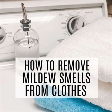 How To Remove Mildew Smell From Clothes And Towels Artofit